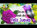 Good morning phrases Happy Thursday blessings The most beautiful good morning is for you