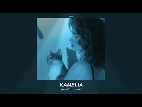 Download MP3 📹 akcent - kamelia (slowed + reverb) // feat. lidia buble & ddy nunes