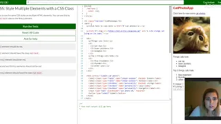 Basic CSS Style Multiple Elements with a CSS Class