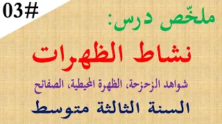 ملخص درس نشاط الظهرات للسنة الثالثة متوسط 