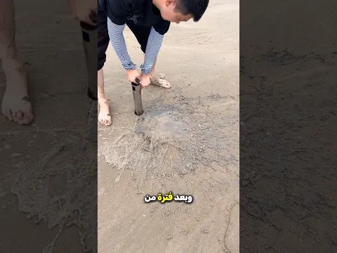 اصطاد كائنًا بحريًا نادرًا من داخل الرمال 😯?!