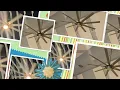 fanimation slinger v2 fanimation palmetto ceiling fans at a pub