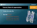 Tutorial s Batch AI segmentation