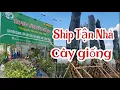 Download Lagu Mua cây giống _ GIAO TẬN NHÀ bán cây giống Sỉ Lẻ