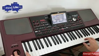 آهنگ شاد بندری همدم ستاره ها با نوازندگی احمد پاکزاد KORG Pa1000 Bandari Music 