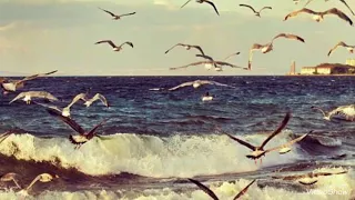 سورة المؤمنون خشوع رعد محمد الكردي Surat Almuminun 