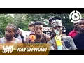 Timbo - Astalavista TimboSTP Link Up TV