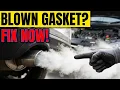 11 Symptoms of a Blown Head Gasket FIX Gasket Leak NOW