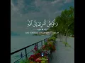 Download Lagu Surah Ghafir Beautiful Recitation😍 | Ayat 44 | Mishary Rashid Alafasy | #shorts Download Lagu Surah Ghafir Beautiful Recitation😍 | Ayat 44 | Mishary Rashid Alafasy | #shorts