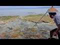 Download Lagu PULAU TERPENCIL Banyak Cumi-cumi dan Ikan saat air surut, Makan di Pantai