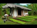 Download Lagu CEO goodbye to city life, Move to the forest to grow vegetables, Live self sufficiently