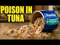 DON T Buy These 7 Canned Tuna Brands Only 2 Are Actually Real Fish