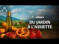 Download Lagu Tastes of the countryside: between orchards, vineyards and rustic delicacies | Heritage Treasures