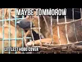Download Lagu Maybe Tomorrow (theme to the Littlest Hobo cover) Music Video