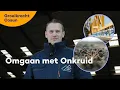 Download Lagu Telerservaringen: Arjan Hofstee over onkruidbeheersing en duist