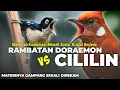 Lagu METERI KRISTAL!!! KOMBINASI RAMBATAN DORAEMON VS CILILIN KUNTI || MASTERAN CILILIN SAMBUNG RAMBATAN