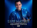 Falso Amor - Luis Mateus