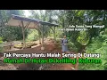 Lagu Kaget Tak Percaya Hantu Malah Sering Di Datangi Gadis Desa Rumah Di Hutan Dekat Kuburan