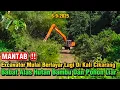 Download Lagu MANTAB‼️Beko Mulai Berlayar Lagi Di Kali Cikarang! Babat Alas Bambu Dan Pohon Liar