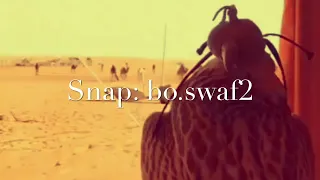 بخيت المرر   منوعات دندنها