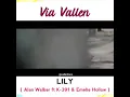 Download Lagu Via Vallen - Lily ( Alan Walker )