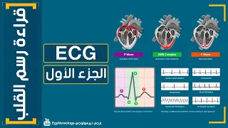 شرح قراءة رسم القلب ECG الجزء الأول EgyNursology 
