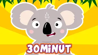 🐨MIX PIOSENKI DLA DZIECI - MIŚ KOALA - Śpiewające Brzdące
