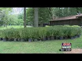White Pines State Park gives away plants used in HBO series production