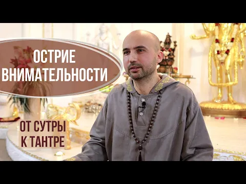 острие внимательности image
