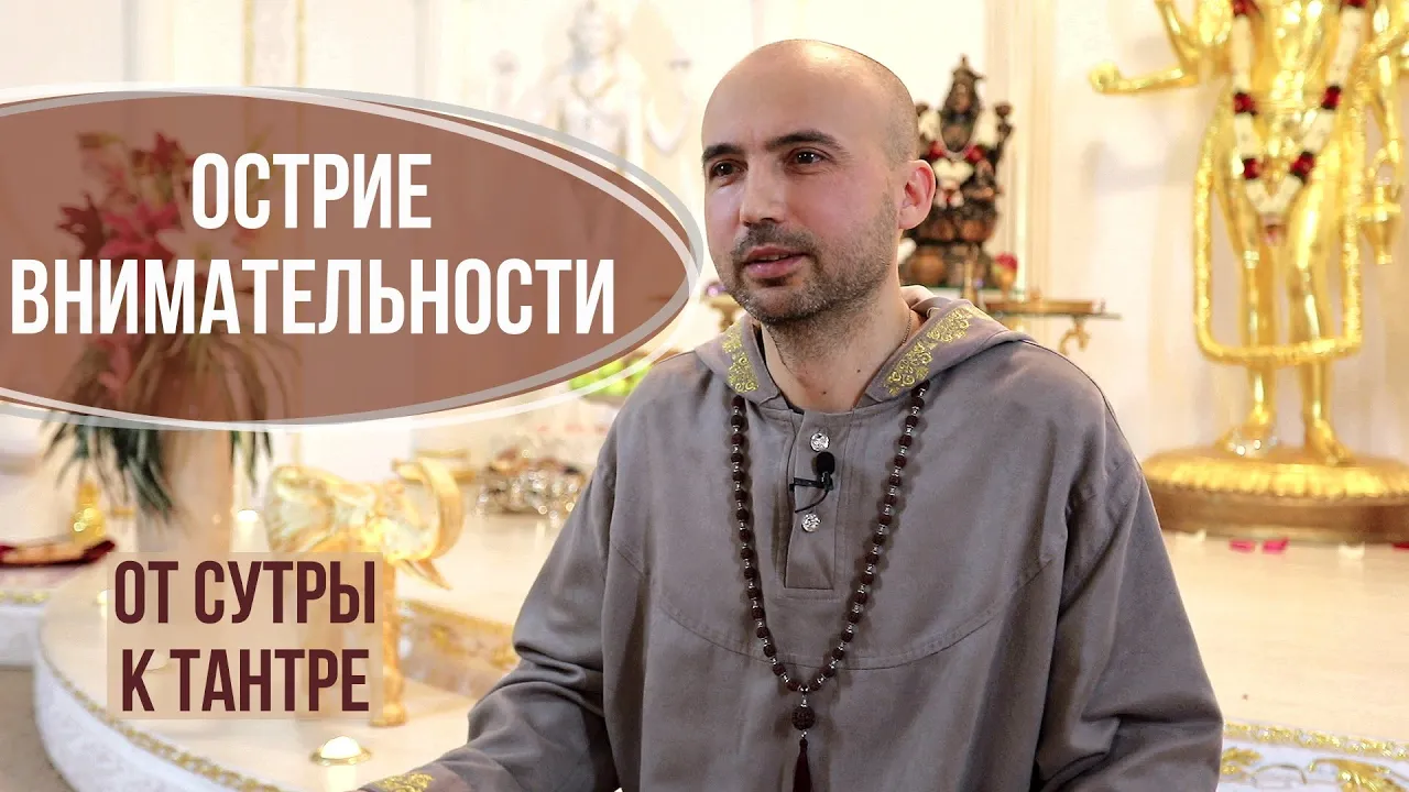 course острие внимательности image