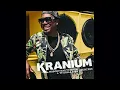 Kranium Ft. Ty Dolla $ign - Nobody Has To Know (Gostan Extended Mix)