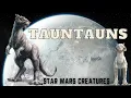 Tauntaun Star Wars Creatures