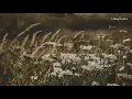 El Bordo - Insisto / Letra / Con Letra
