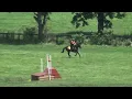Darby Weerstra & Exultation Champagne Run Horse Trials 2016