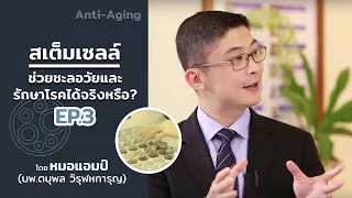 สเตมเซลล์ทำงานอย่างไรเมื่อนำมาใช้รักษาโรค