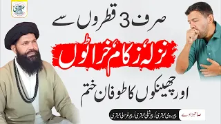 Nazla Zukam Allergy Ka Ilaj Cheekon Ka Ilaj Ubqari Urdu Hindi Totkayinurdu 