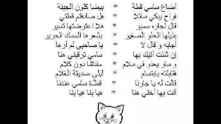 أضاع سامي قطة مع الكلمات دندنها