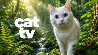 CAT TV 🐱🐦🐠 Birds & Fish for Cats | 10 Hours of Relaxing Cat Entertainment & Enrichment