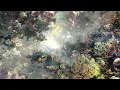 Download Lagu GOODBYE METEOR - We Could Have Been Radiant [Album] (2024)