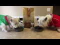 PrestonSpeaks com - The Nutrish Zero Grain Dog Food Championship