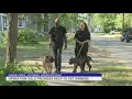 Muskegon County woman starts effort to support struggling pet owners