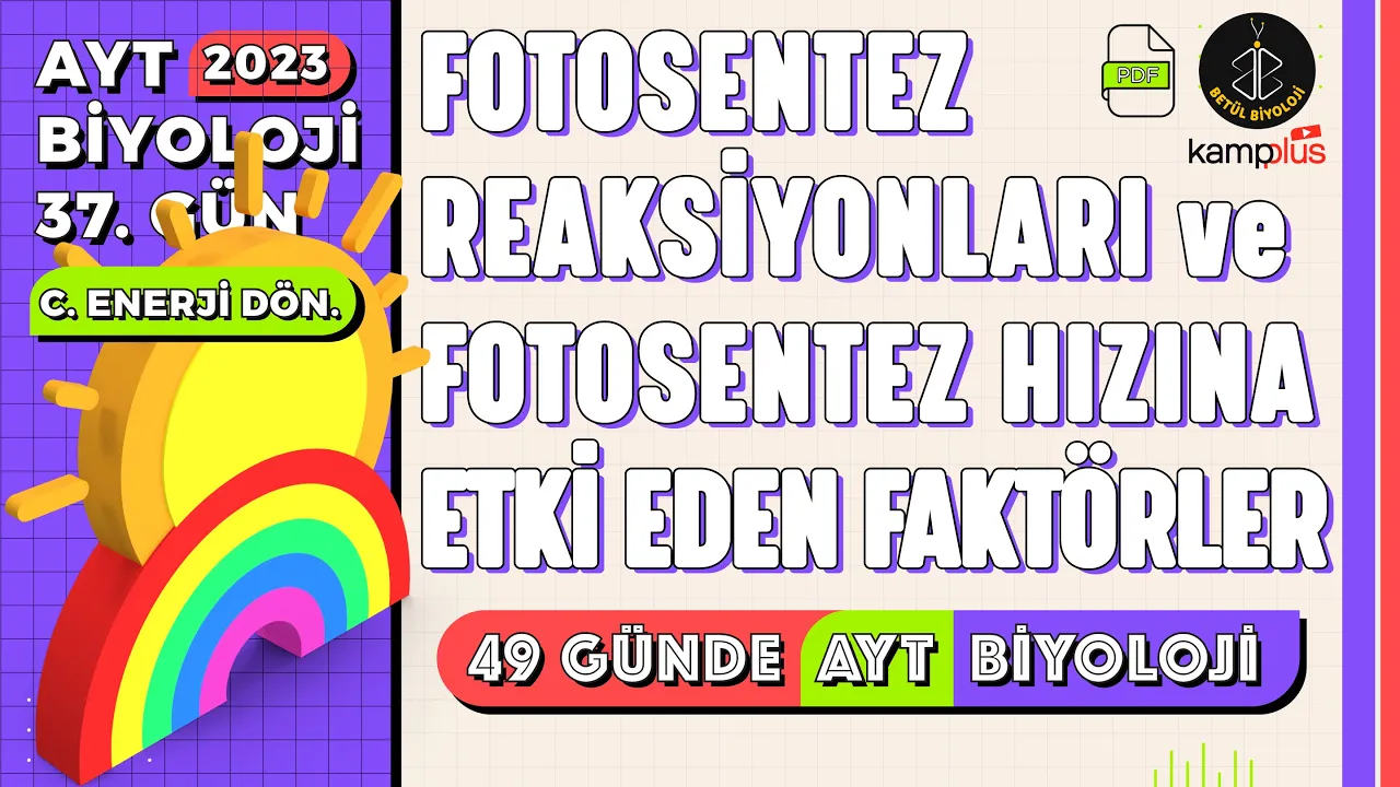 37) Fotosentez Reaksiyonları ve Fotosentez Hızına Etki Eden Faktörler | AYT Biyoloji Kampı 37. Gün