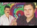 Download Lagu Puiul codrean doar o lacrimă să ți cadă