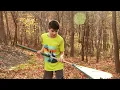 Fall Leaf Collection - 2023