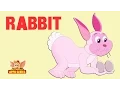 Download Lagu Animal Sounds - Rabbit