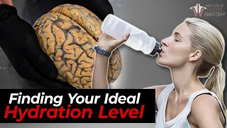The Science of Hydration How Much Water You Really Need