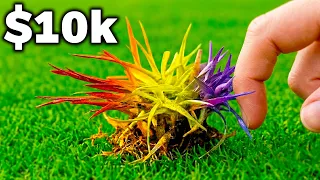 I Touched $1 vs $10,000 Grass!