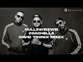 NULLZWEIZWEI - Coachella (David Tronix Remix)