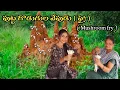 Download Lagu ఈసారి పుట్ట గొడుగుల వేపుడు చేశాను  ముందుటి కంటే కొంచెం ఎక్కువ పుట్టకుక్కులు దొరికాయి.
