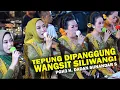 Download Lagu Tepung Dipanggung Naek Lagu Wangsit Siliwangi // Pgh3 H. Dadan Sunandar Sunarya